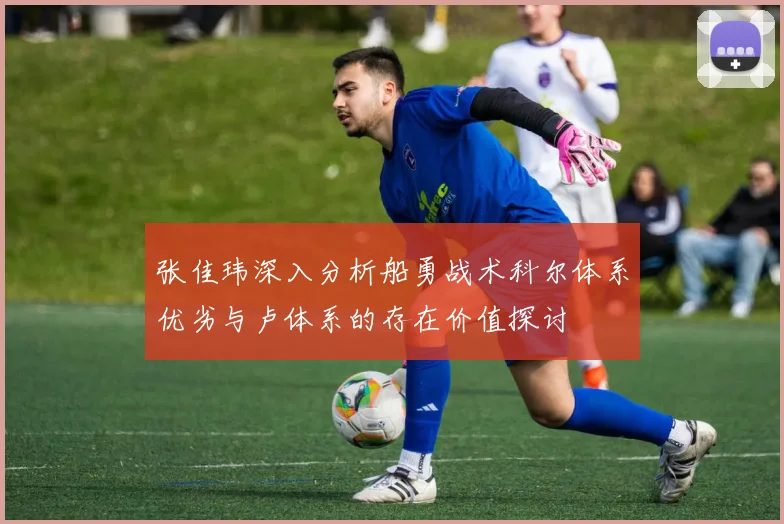 张佳玮深入分析船勇战术科尔体系优劣与卢体系的存在价值探讨