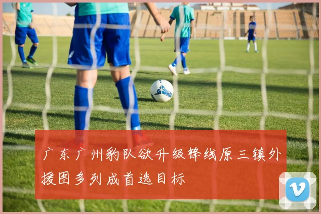 广东广州豹队欲升级锋线原三镇外援图多列成首选目标