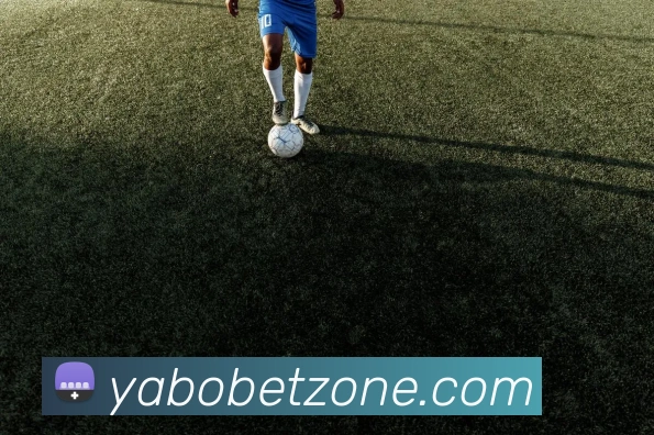 亚博体育全站App